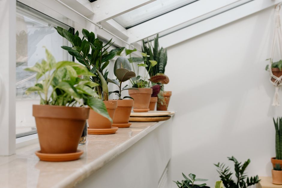 A quiet corner with potted plants and folded blankets